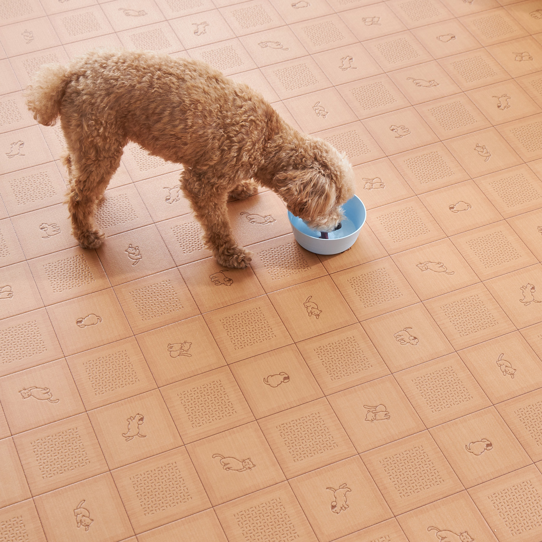 �⥯��ڥå��б�