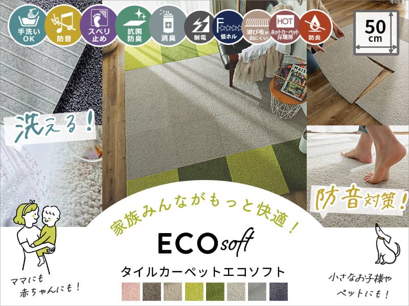 ECOソフト