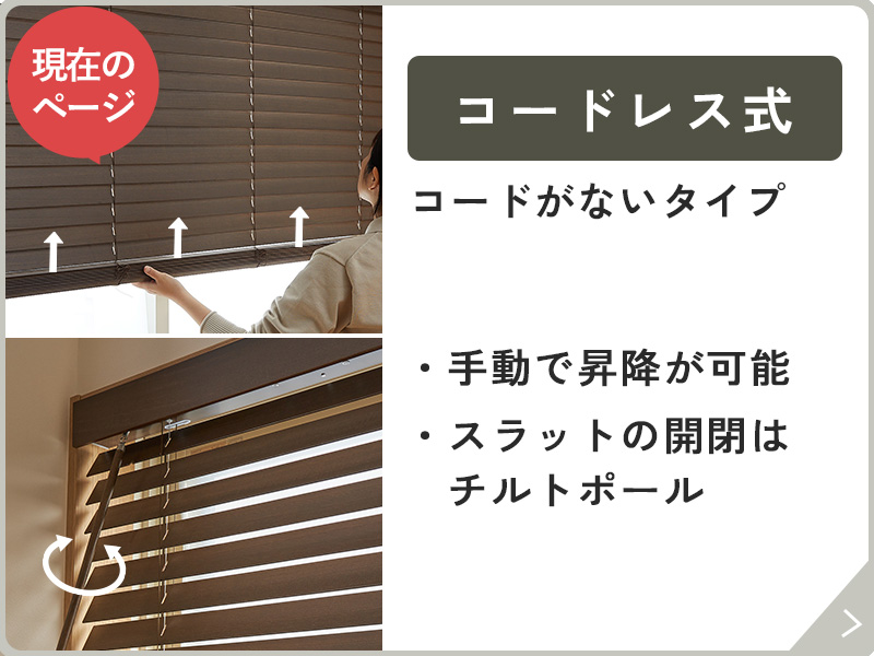 �����ɥ쥹���Υʥӥܥ���