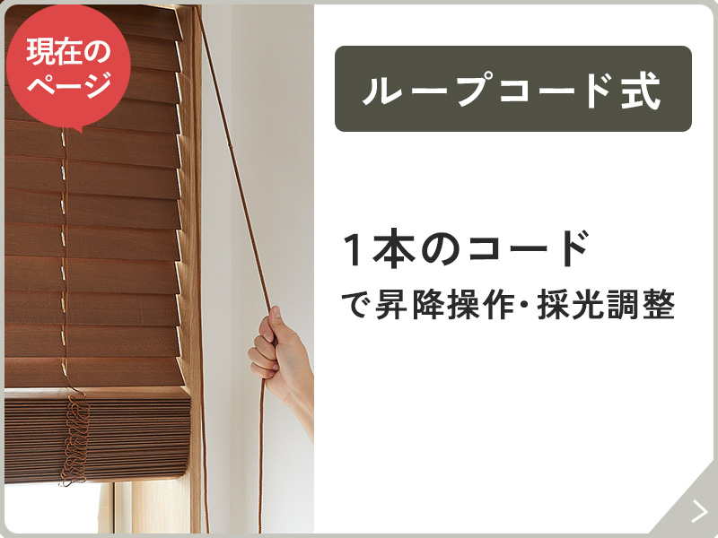 ¥ë¡¼¥×¥³¡¼¥É¼°¤Î¥Ê¥Ó¥Ü¥¿¥ó