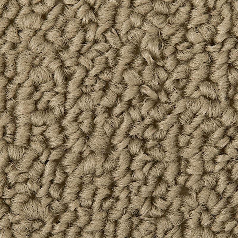 �롼�ץѥ��륢�å�