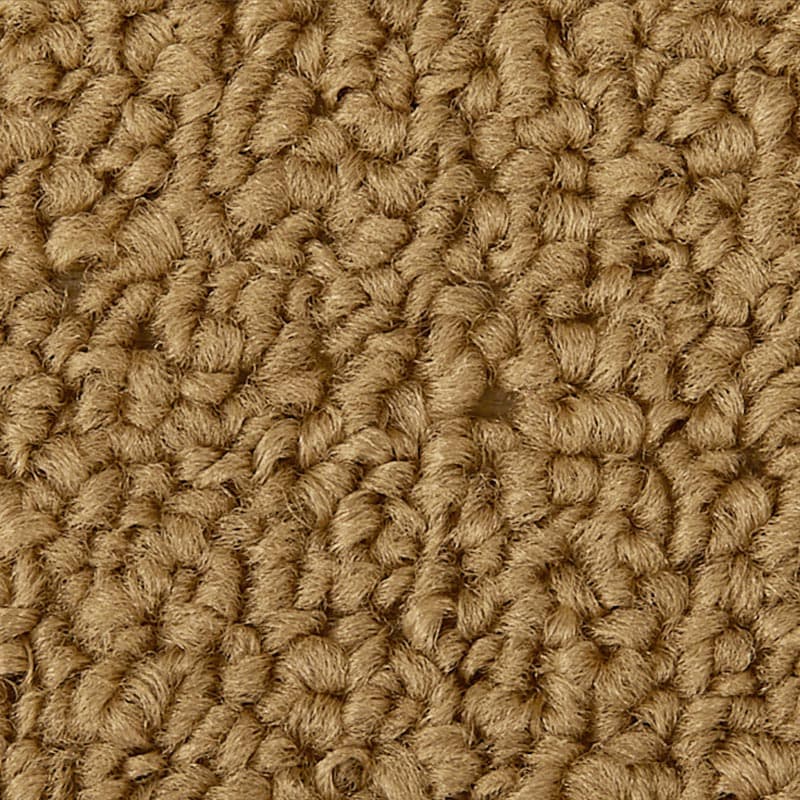 �롼�ץѥ��륢�å�