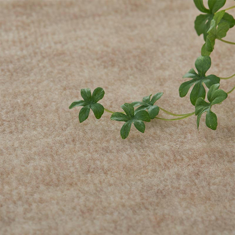 ���ϤΥ��åײ���