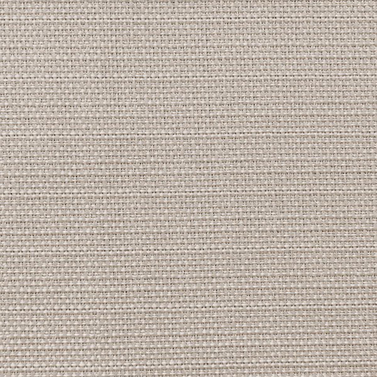 生地のアップ画像