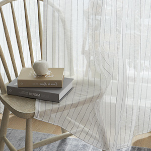 �����Х󥹥ȥ饤��