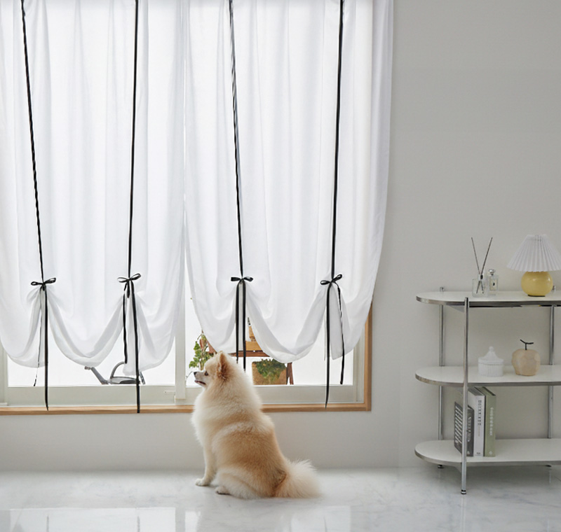 �����ƥ�إѥ�� ��ܥ󥢥åץ����ƥ�٥ڥåȥ��᡼��