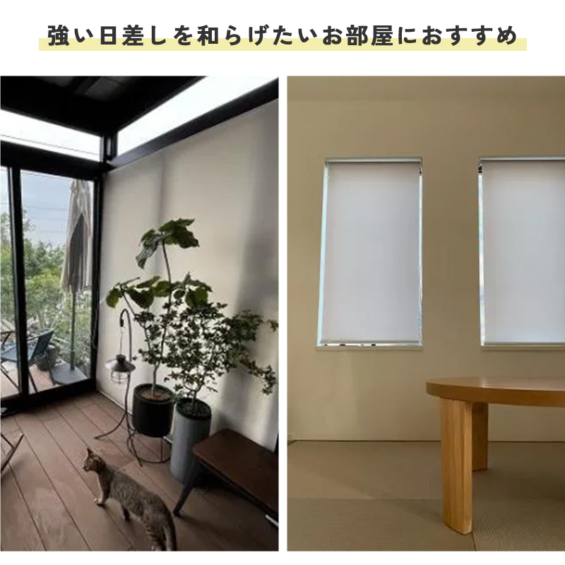 ������������������ٲȤ���������к��ˤ�