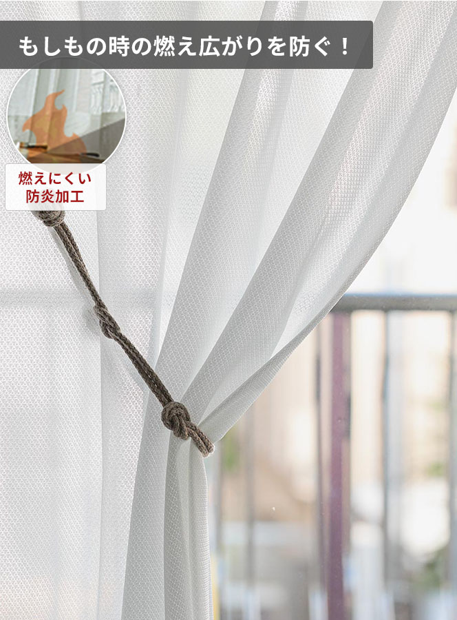 ¥×¥é¥ó¥¿¥ó