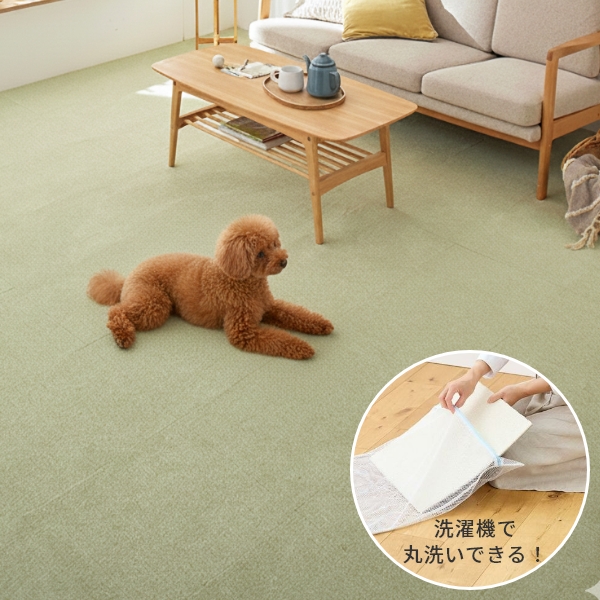 ���ե���01