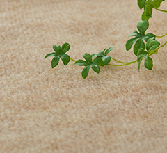 �ѥ�����03