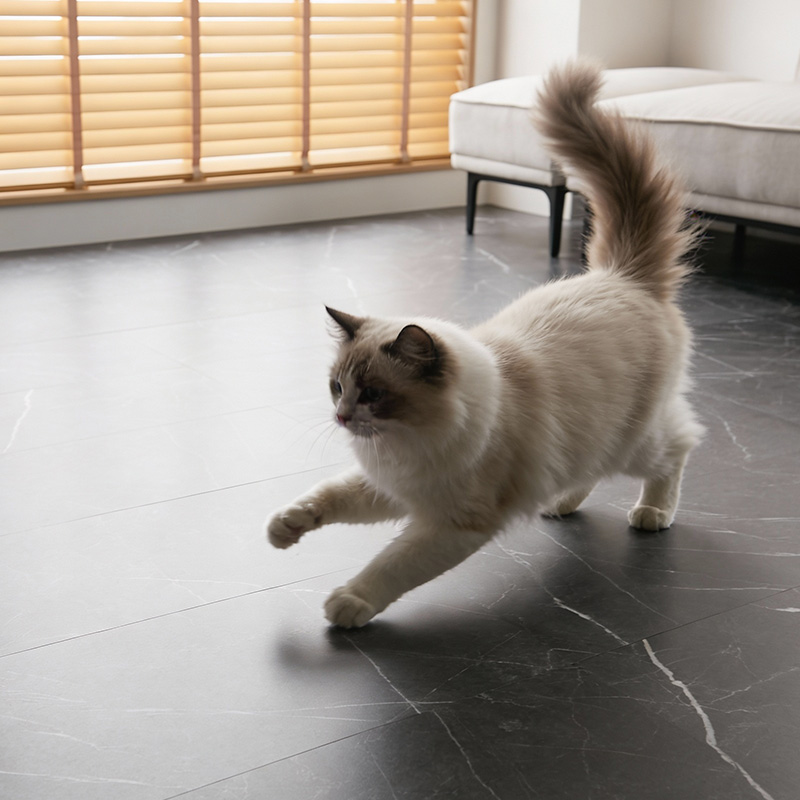 �ڥåȤ�ͷ��Ǥ����ͻ�