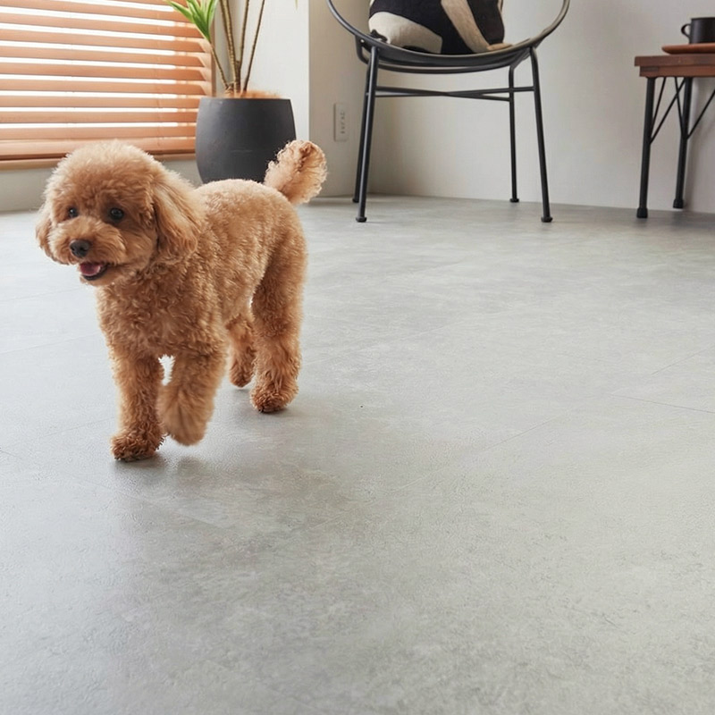 �ڥåȤ�ͷ��Ǥ����ͻ�