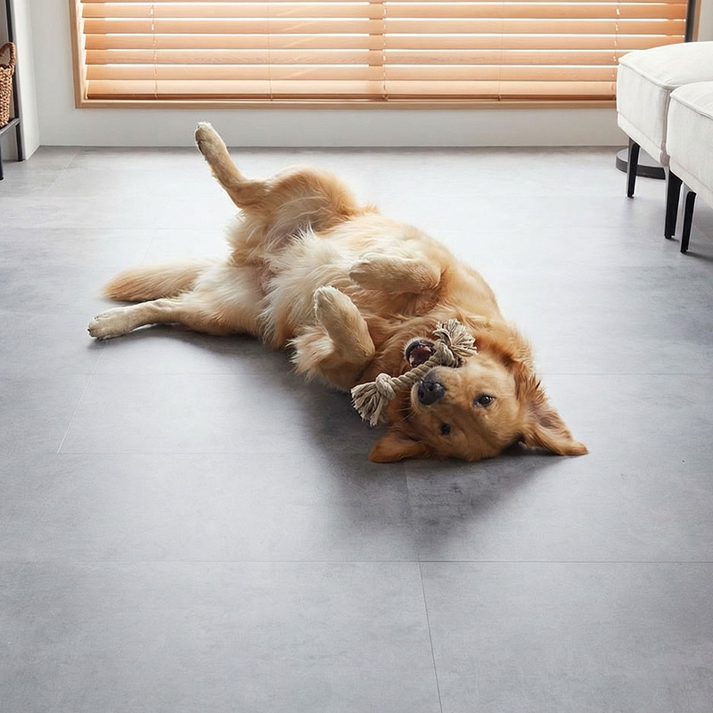 �ڥåȤ�ͷ��Ǥ����ͻ�