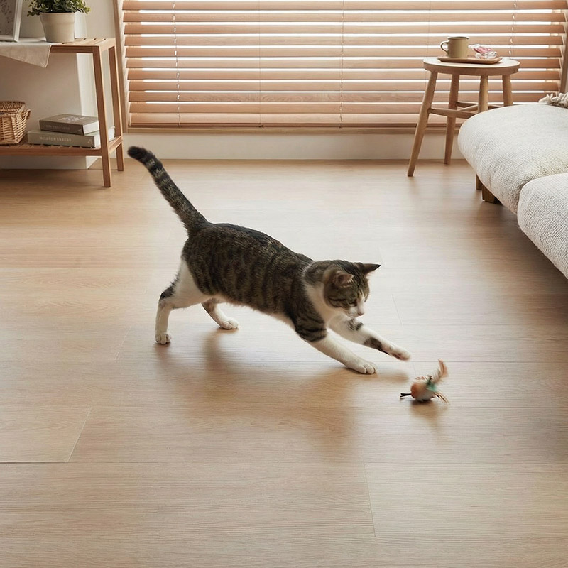 �ڥåȤ�ͷ��Ǥ����ͻ�