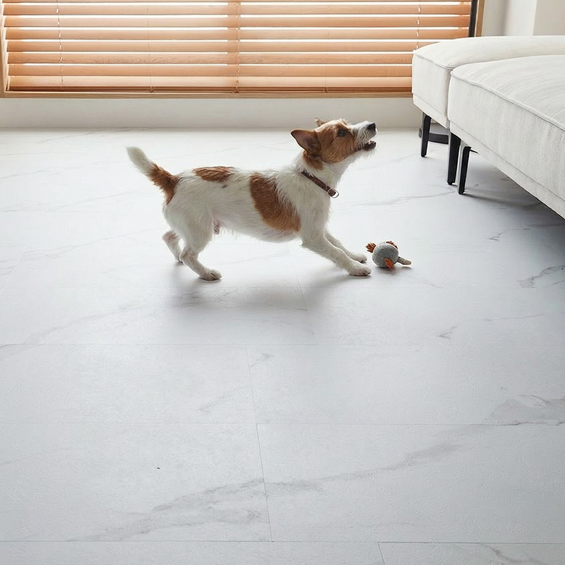 �ڥåȤ�ͷ��Ǥ����ͻ�