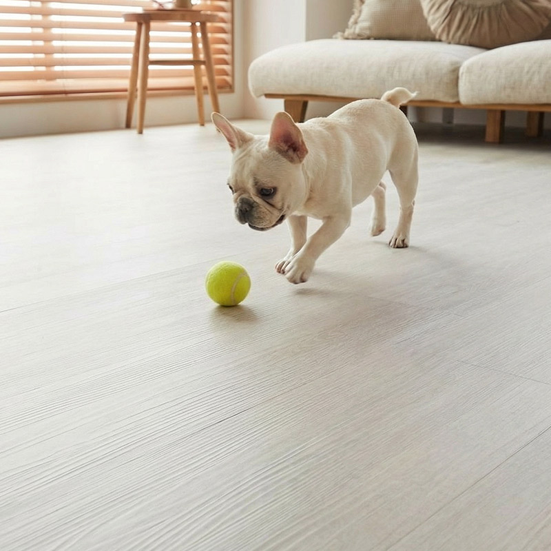 �ڥåȤ�ͷ��Ǥ����ͻ�