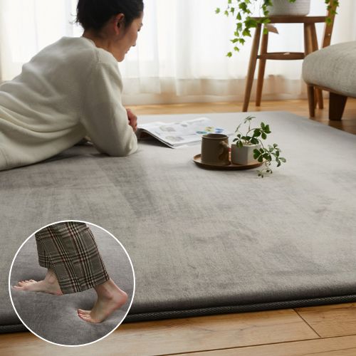 �ۥ�ǡ��ץ饹��ȿȯ