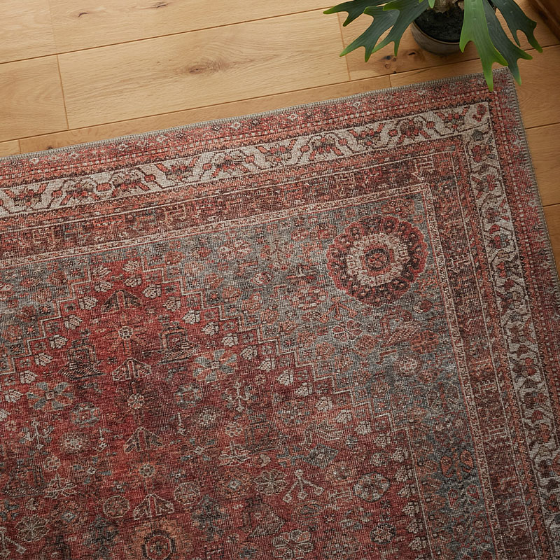 �Υ����쥤