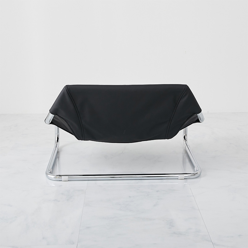 ������鸫������