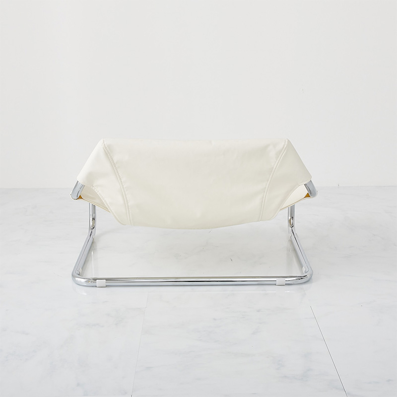 ������鸫������