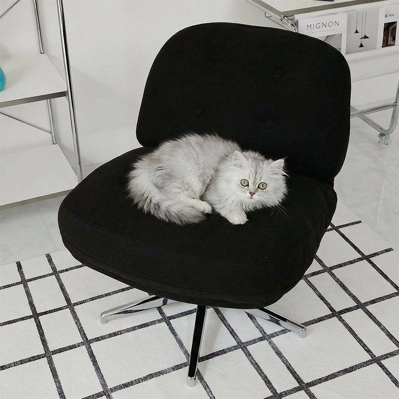 �쥸��꡼���ѥ��᡼��2