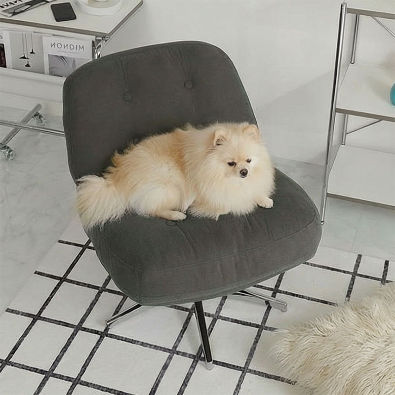 �쥸��꡼���ѥ��᡼��2