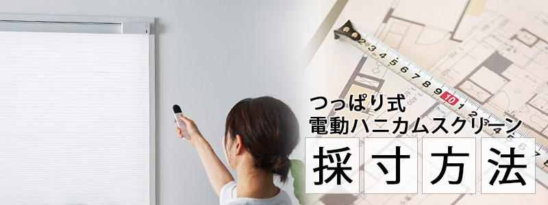 �ĤäѤ꼰��ư�ϥ˥��ॹ���꡼�������ˡ�ȥå�