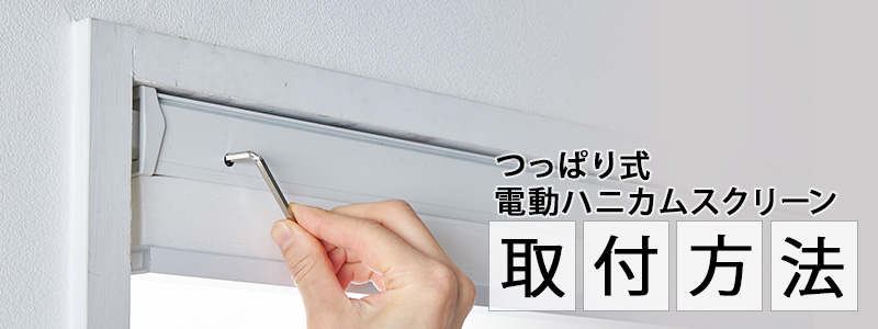 ������ˡ