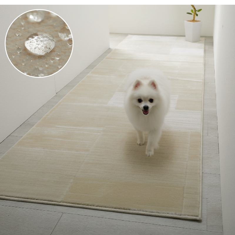 �Ϥÿ奫���ڥåȥ��꡼����ϭ���ߤ�01