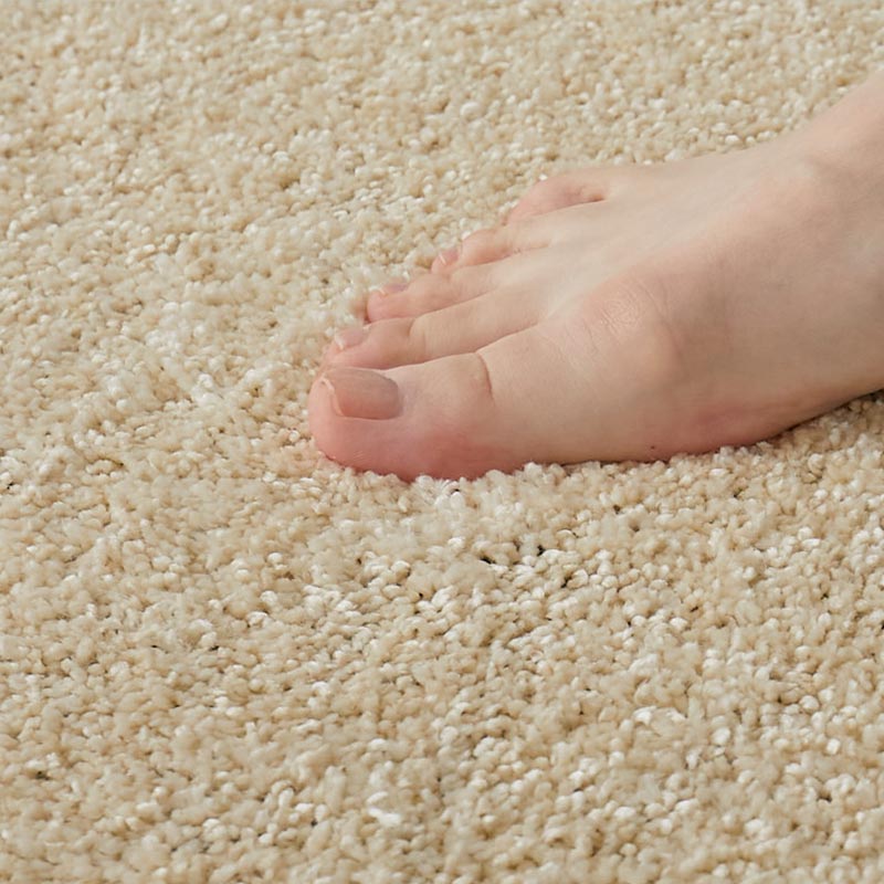 �Ӥ�Ƨ��Ǥ���Ȥ���