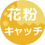 ��ʴ����å�