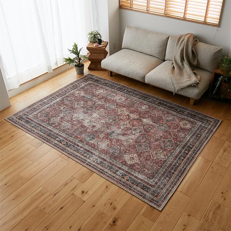 ラグ全体の写真