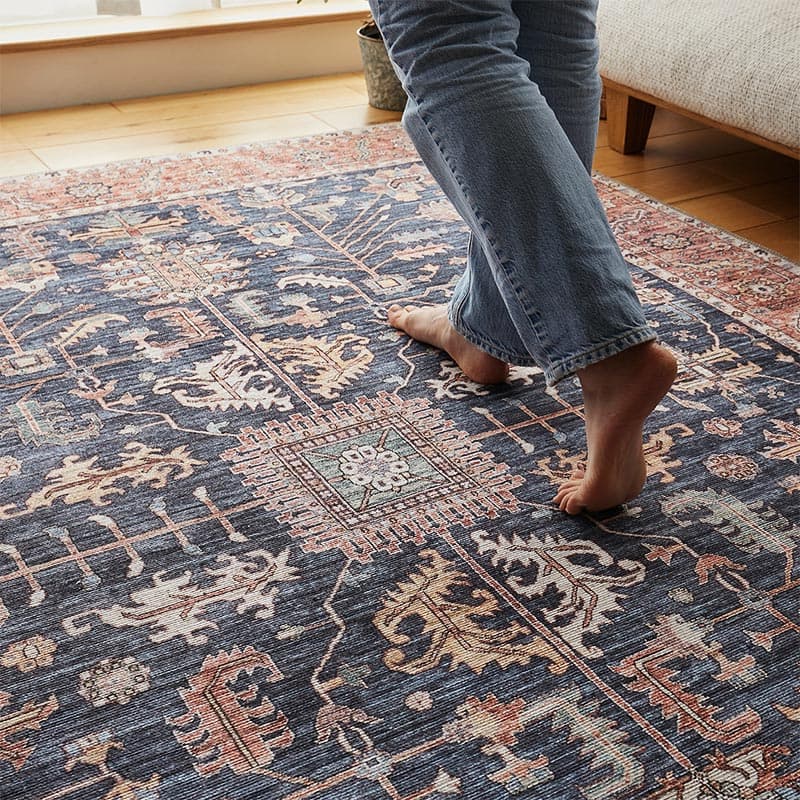 ラグの上を歩いている画像