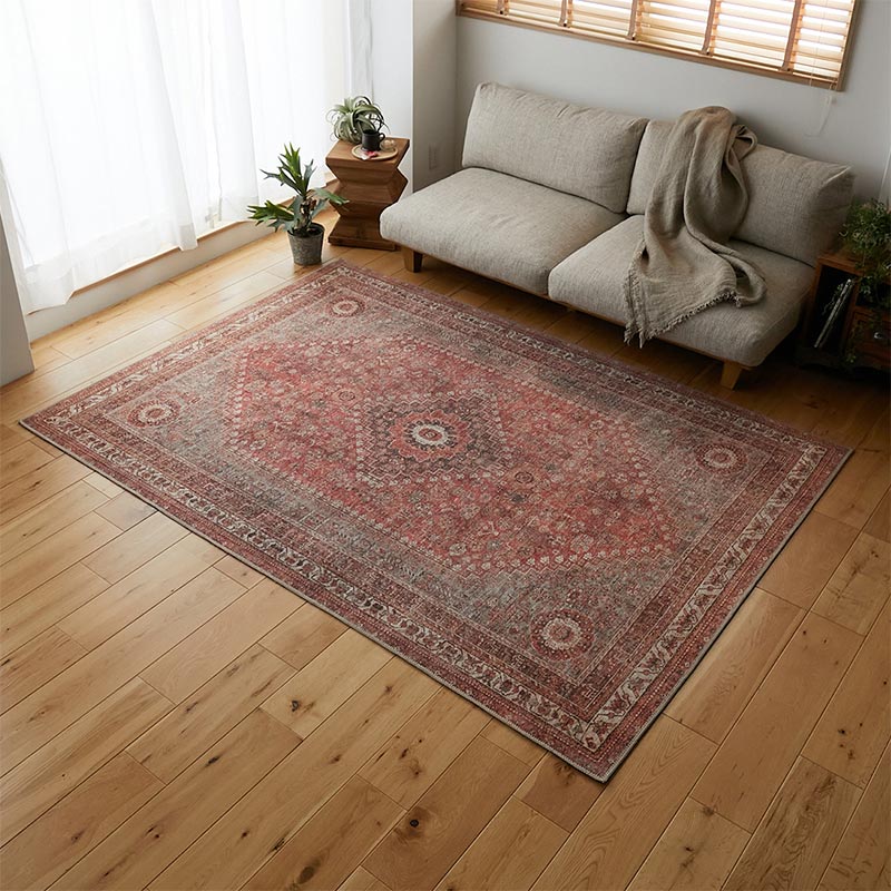 ラグ全体の写真