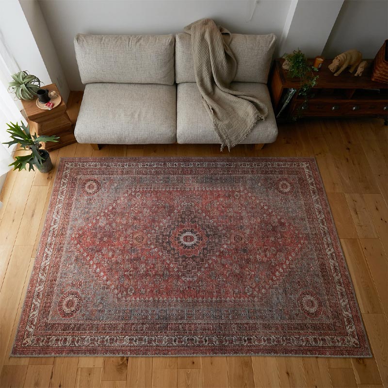 �Υ����쥤���β���