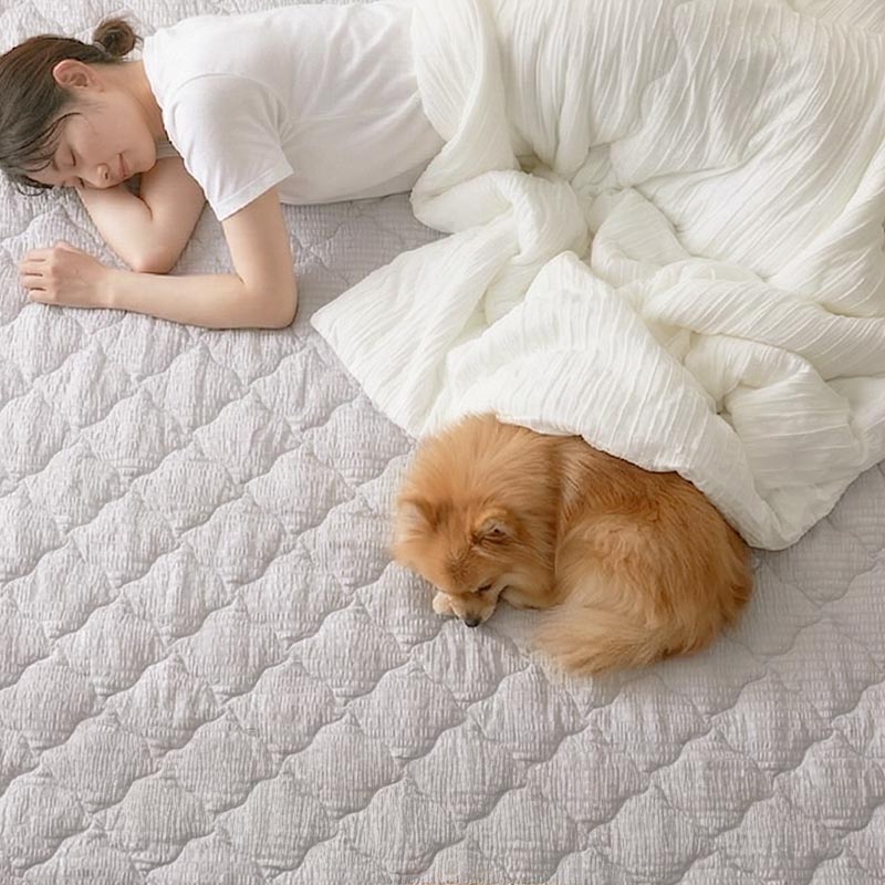 ���Υ���Ƥ륤�᡼������