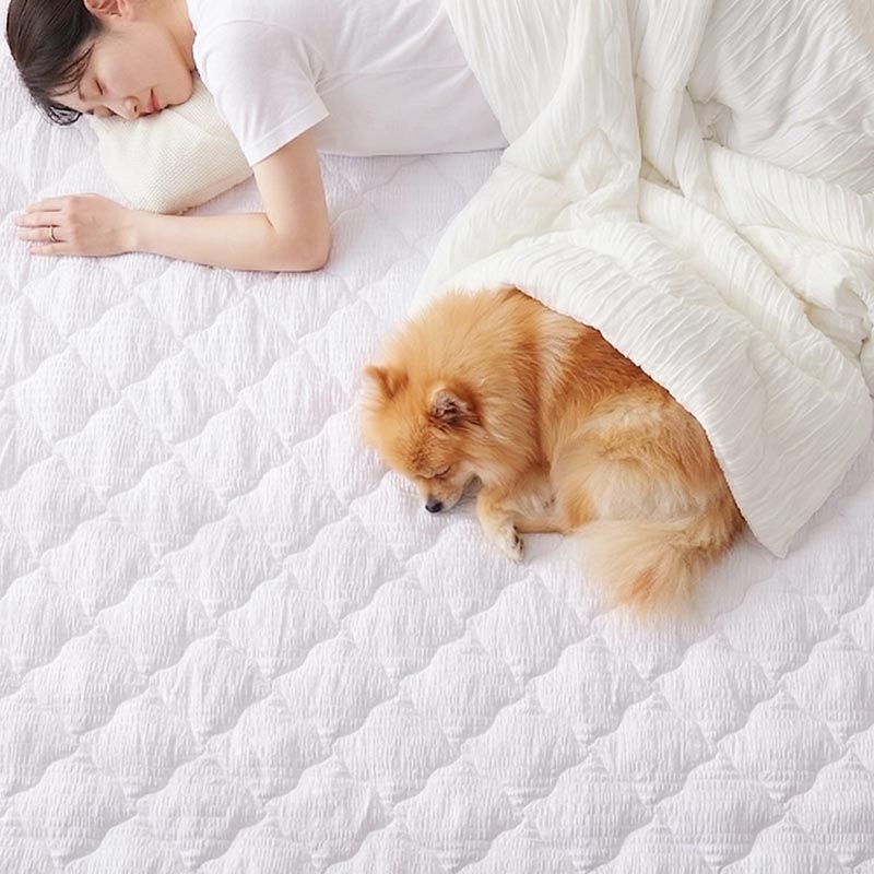 ���Υ���Ƥ륤�᡼������