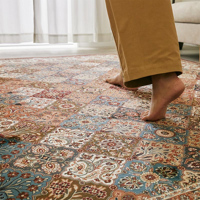 ラグの上を歩いている画像