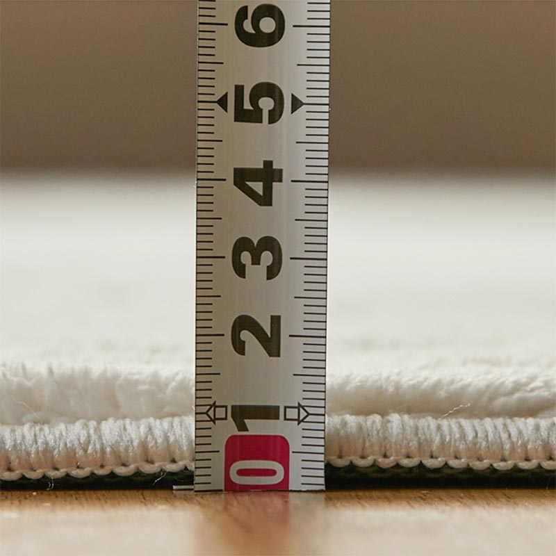 �᥸�㡼�ǥ�������¬�äƤ������