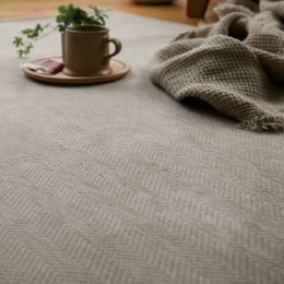 �ƥ饹 ���졼����