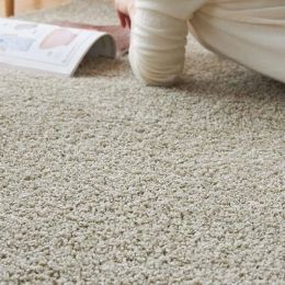 ������ �ȥѡ���