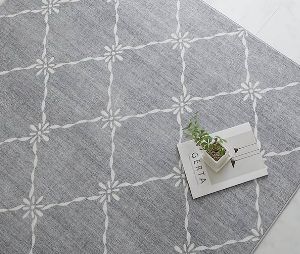 �Ρ��� ���졼