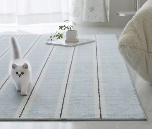 �������� �֥롼