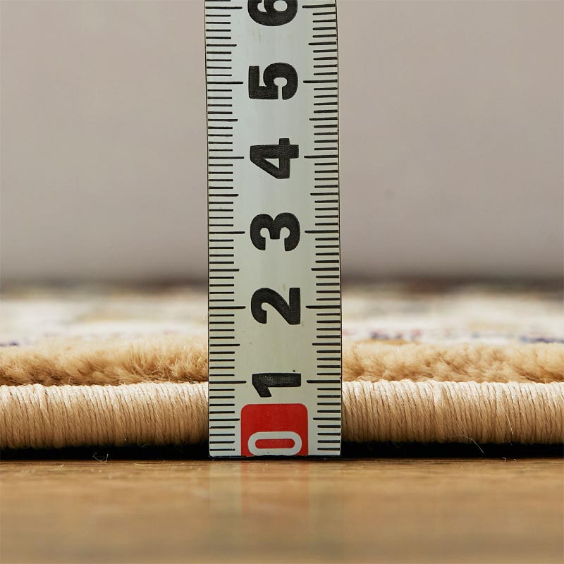 �᥸�㡼�ǥ�������¬�äƤ������