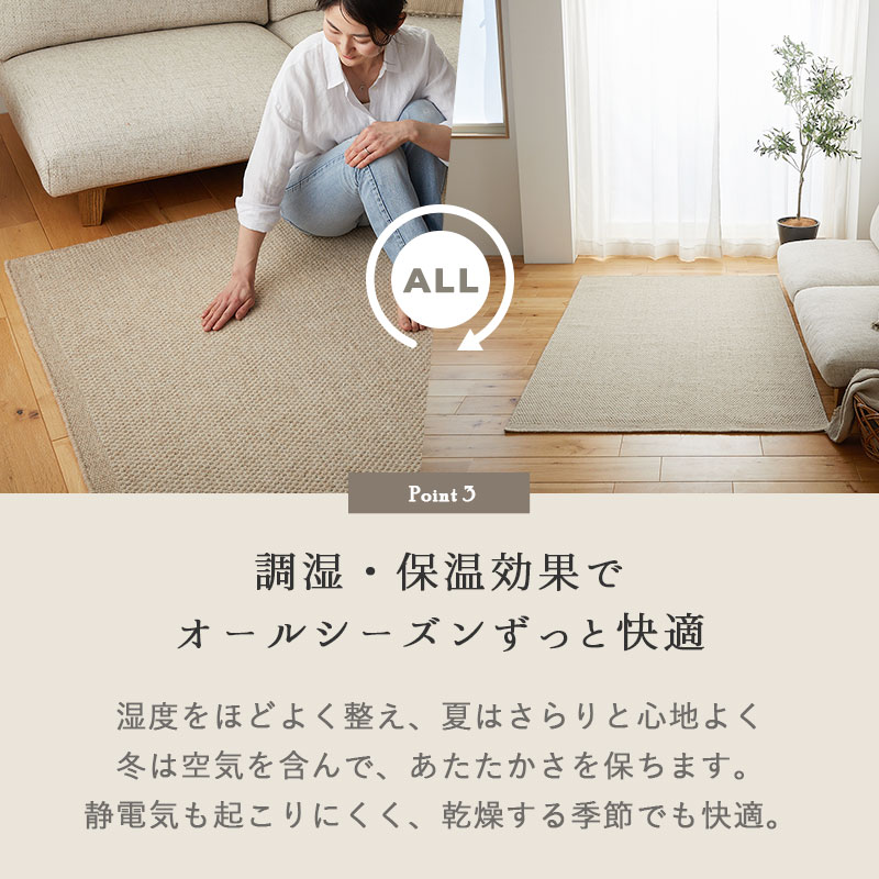 Ĵ�����ݲ����̤� �����륷�������Ŭ