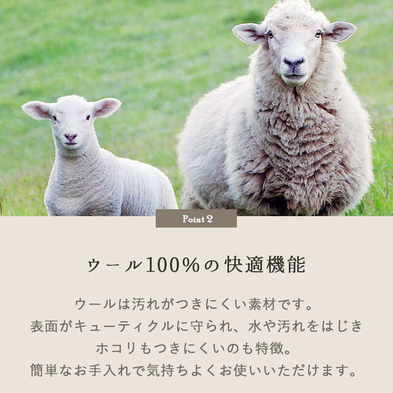 ������100%�β�Ŭ��ǽ