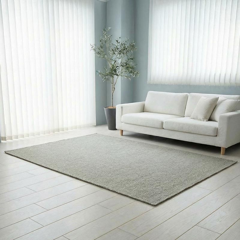 北欧インテリアのリビングに映ってる様子