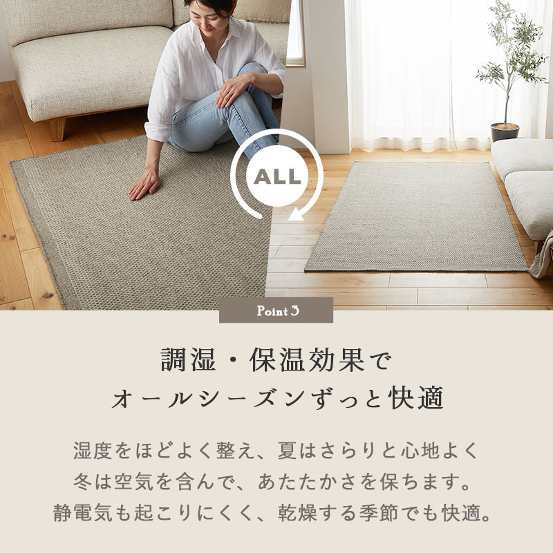 Ĵ�����ݲ����̤� �����륷�������Ŭ