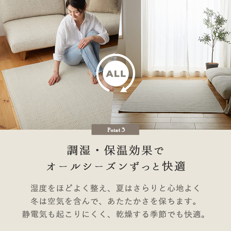 Ĵ�����ݲ����̤� �����륷�������Ŭ