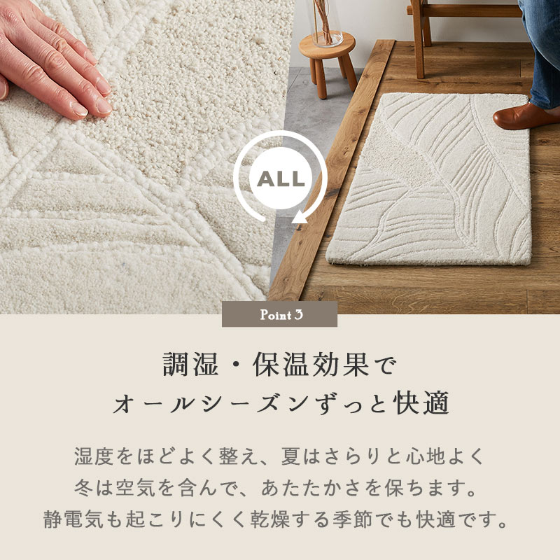 Ĵ�����ݲ����̤� �����륷�������Ŭ